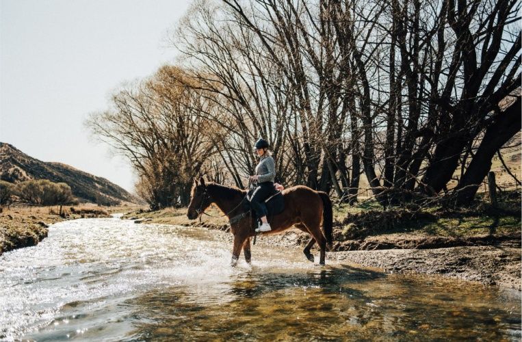 Wanaka 2hrs Horse Riding
