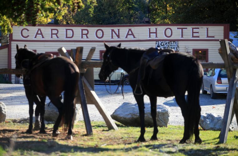 Wanaka 3.5hrs Horse Riding (Pro)