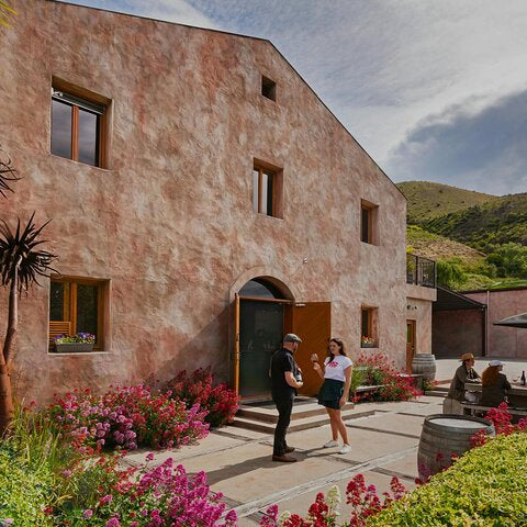 Wine Tour-Hilton Pick-up & Drop-off