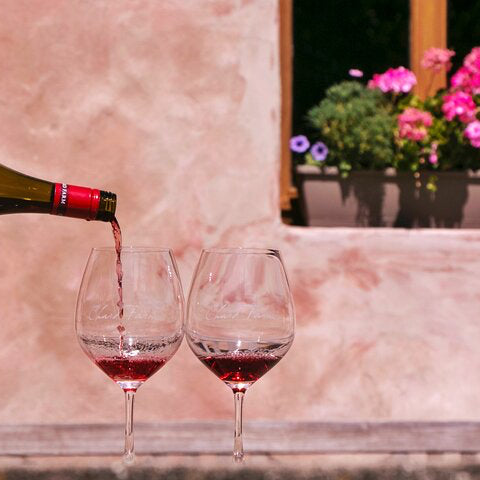 Wine Tour-Hilton Pick-up & Drop-off