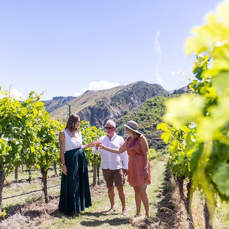 Wine Tours