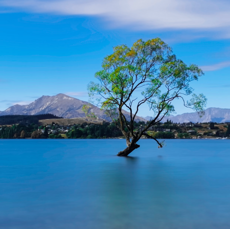 Wanaka and Arrowtown