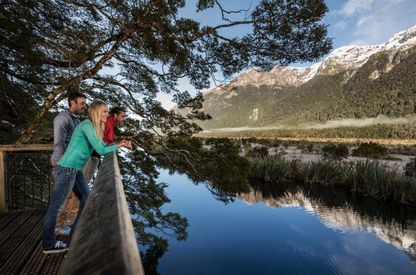 Milford Sound Coach-Cruise-Coach ex Queenstown