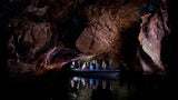 Te Anau Glowworm Caves
